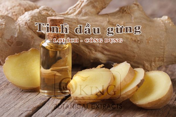 tinh dầu gừng oking 3