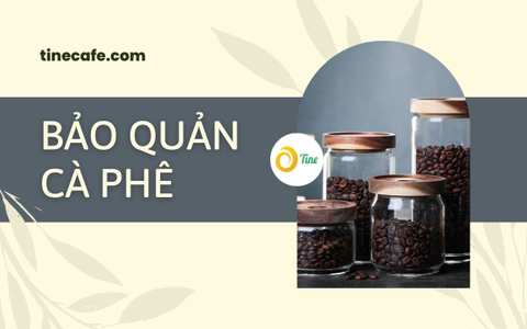 Bảo quản cà phê: Bí quyết để cà phê luôn giữ trọn hương vị