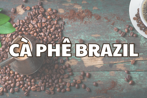 Cà phê Brazil với chất lượng hơn cả số lượng