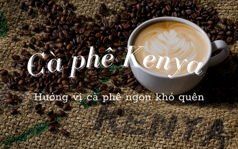 Cà phê Kenya: Hương Vị và Chất Lượng