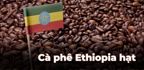 Cà Phê Ethiopia Hạt: Trải Nghiệm Hương Vị Cà Phê Nguyên Bản