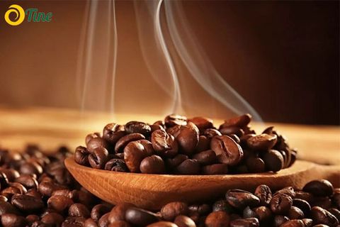 Các loại cà phê được trồng phổ biến ở Việt Nam