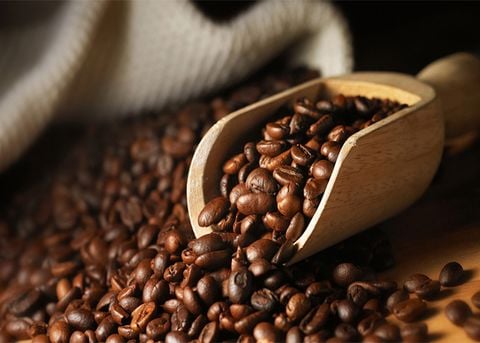 Chinh Phục Hương Vị Đỉnh Cao: Bí Kíp Rang Cà Phê Vừa