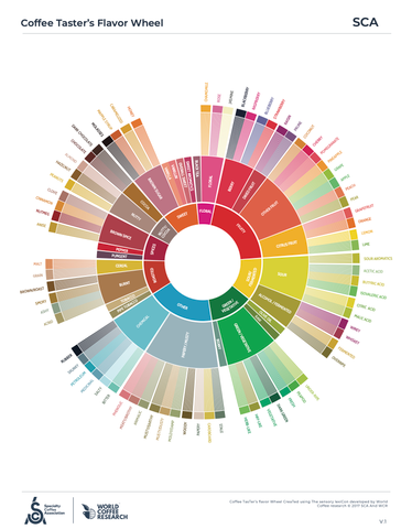 Coffee Taster’s Flavor Wheel
