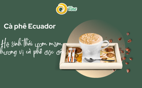 Khám phá cà phê Ecuador: Từ xuất xứ đến hương vị đặc trưng