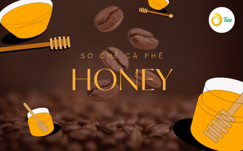Tìm hiểu về phương pháp và quy trình sơ chế cà phê mật ong - Honey
