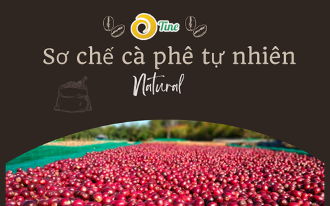 Phương pháp sơ chế tự nhiên (Natural) phổ biến hiện nay