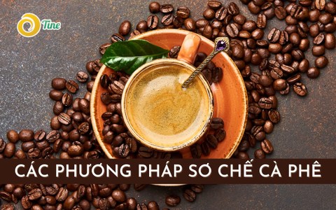 Top 3 phương pháp sơ chế cà phê phổ biến nhất hiện nay