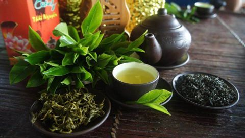 TOP 10 Thương Hiệu Trà Nổi Tiếng Ở Việt Nam