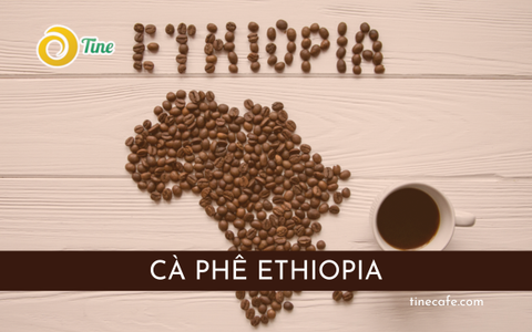 Cà Phê Ethiopia: Kỳ Diệu Từ Những Hạt Cà Phê Heirloom