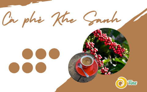 Tìm hiểu về cà phê Arabica Khe Sanh -  vùng đất Quảng Trị nổi tiếng Việt Nam