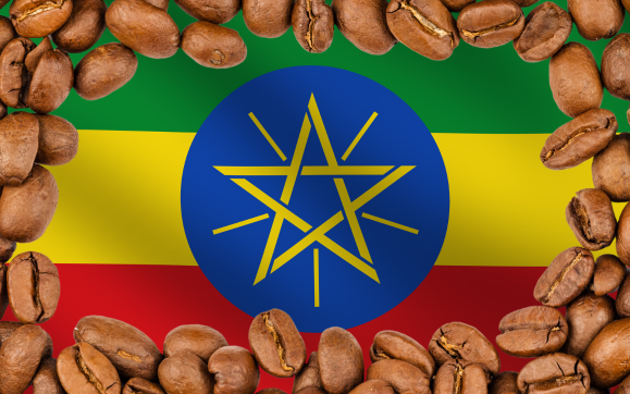 Lịch sử cội nguồn của hạt cà phê Ethiopia