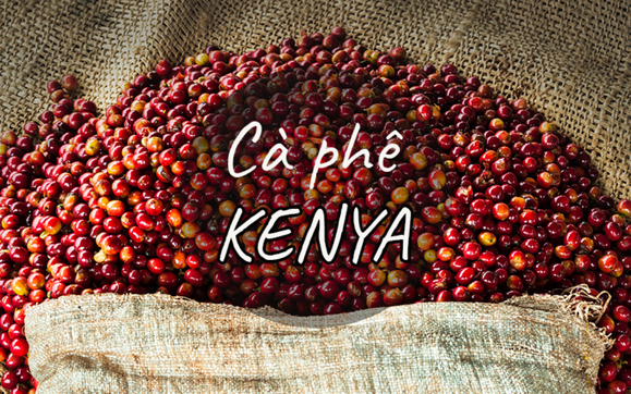 Cà phê Kenya