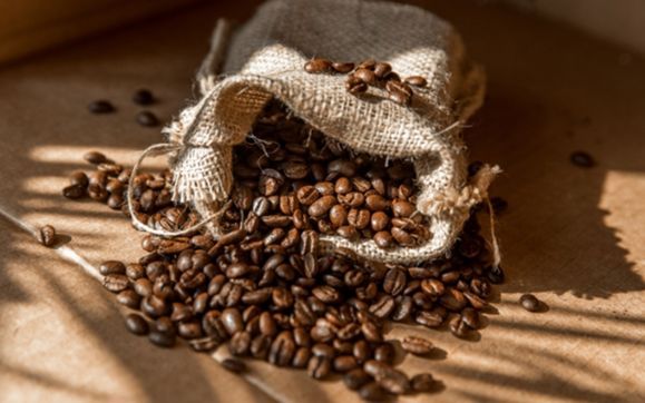 Nguyên liệu chất lượng là yếu tố hàng đầu để làm nên ly cafe thơm ngon