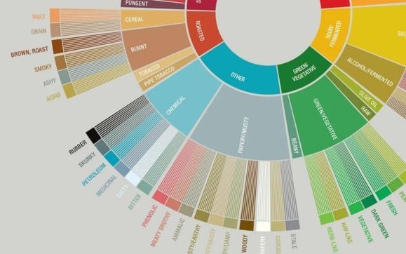 Tải về Coffee Taster’s Flavor Wheel & nghiên cứu