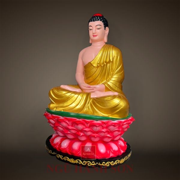 Hình ảnh bài viết