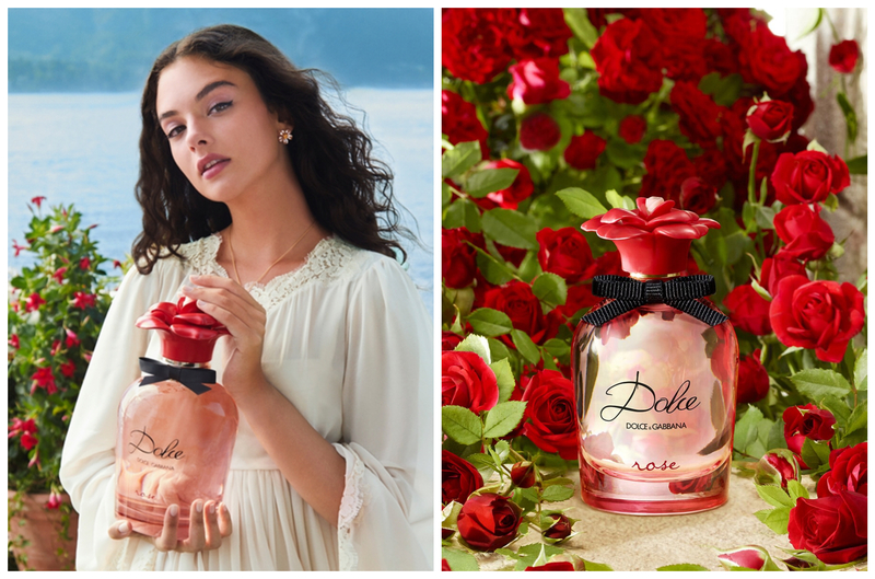 Hương nước hoa Dolce & Gabbana Dolce Rose