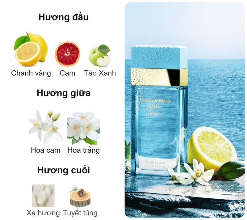 Hương nước hoa Dolce & Gabbana Light Blue Forever