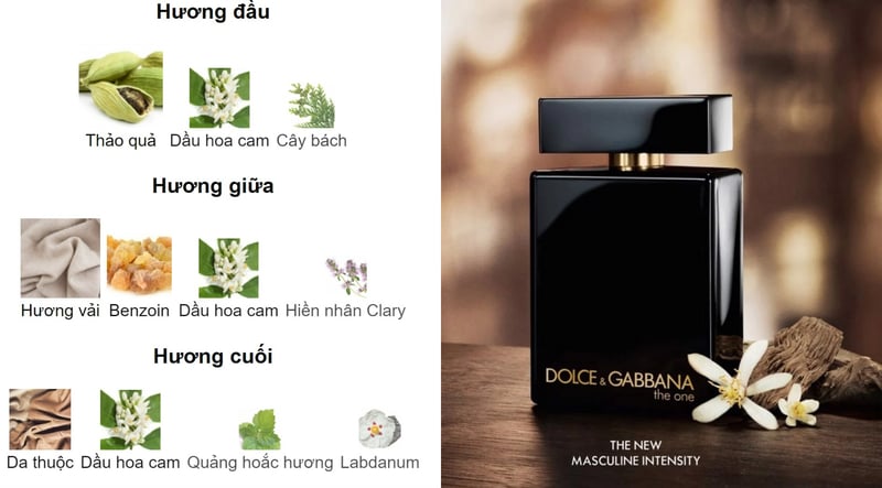 Hương nước hoa Dolce & Gabbana The One For Men EDP