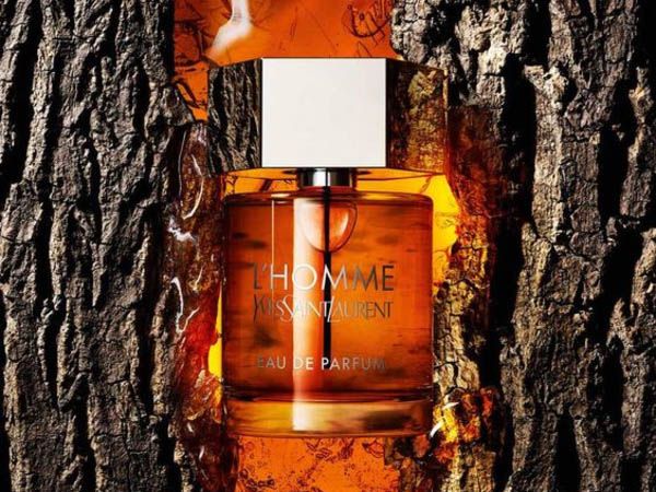 Hương nước hoa Yves Saint Laurent YSL L'homme Parfum Intense