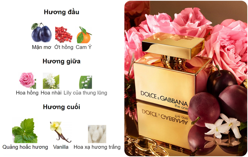 Hương nước hoa D&G The One Gold For Women EDP