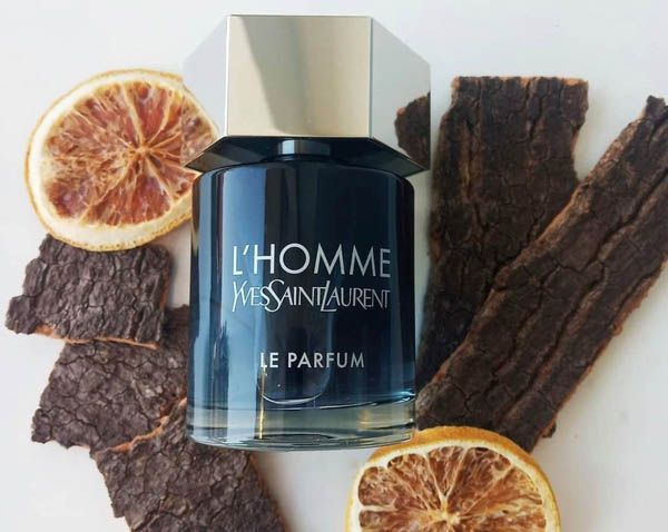 Mùi hương Yves Saint Laurent L'Homme Le Parfum đặc trưng của gỗ