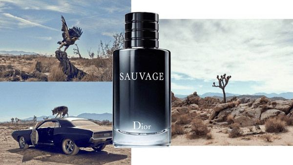 Nước hoa Dior Sauvage EDT 100ml nam