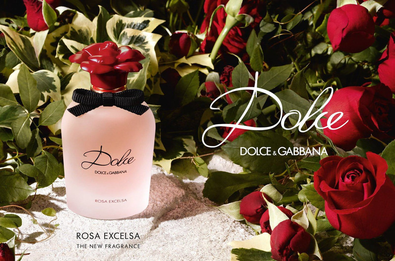 Thiết kế Dolce & Gabbana Dolce Rosa Excelsa EDP