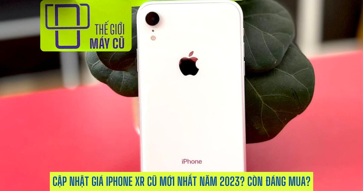 Cập nhật giá iPhone XR cũ mới nhất hiện nay? Liệu 2023 còn đáng mua?