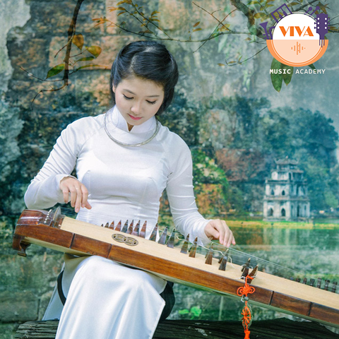 Khóa học đàn tranh tại VIVA Music Academy quận Tân Phú HCM