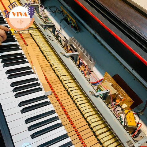 Sửa đàn Piano điện uy tín, giá rẻ tại VIVA Music Academy Tân Phú TP HCM