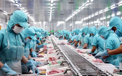 VASEP: 'Xuất khẩu thủy sản năm nay sẽ vượt 11 tỷ USD'