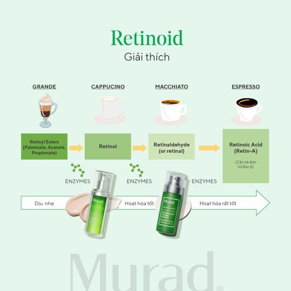 Retinal, Retinol và Retinoid có gì khác nhau?
