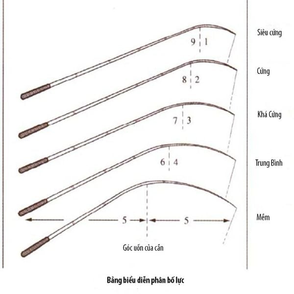 4. 5H trong cần câu cá