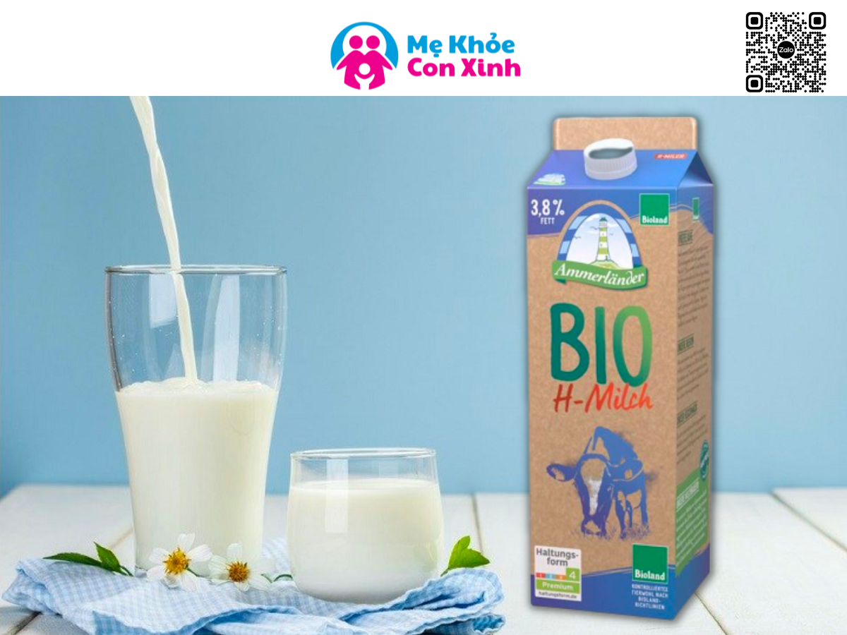 Top 4 Sữa Hữu Cơ Được Ưa Chuộng Nhất Châu Âu
