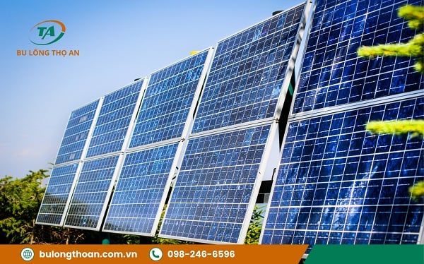 Bu lông hệ Solar là gì