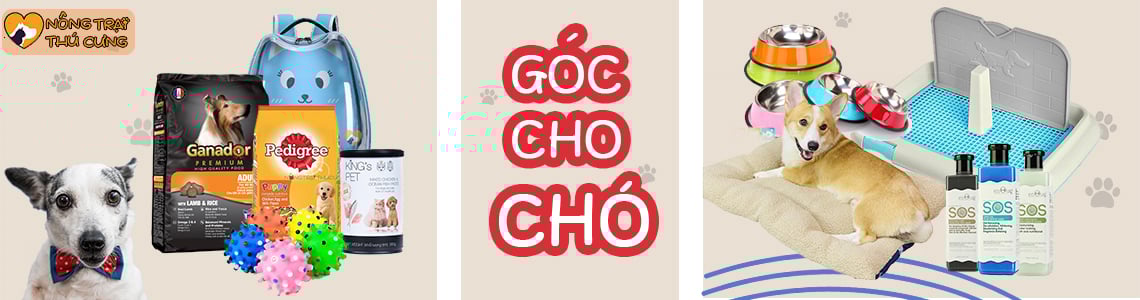 	DÀNH CHO CHÓ 