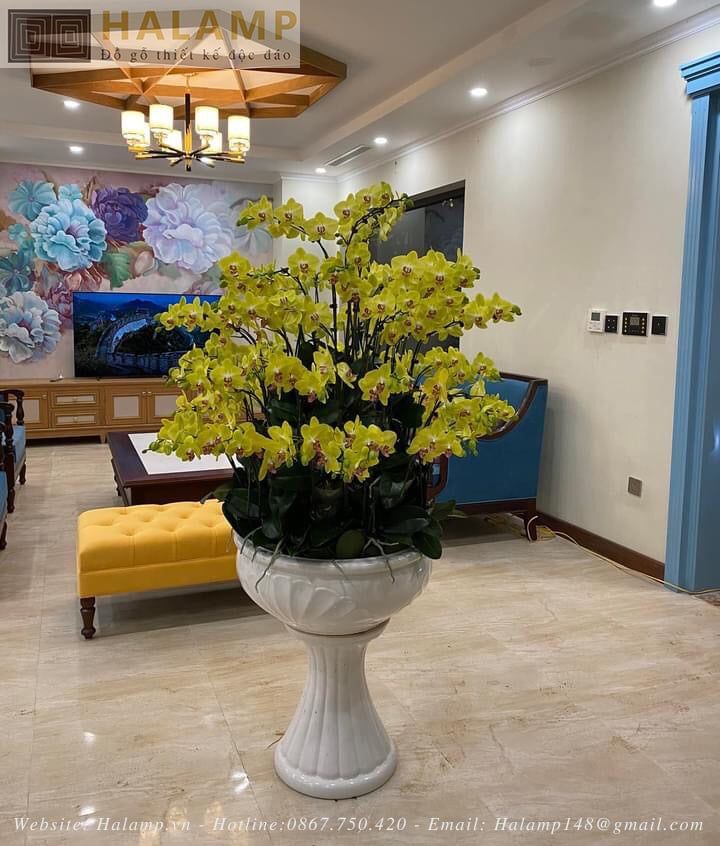 Cắm hoa Lan phòng khách nội thất Việt