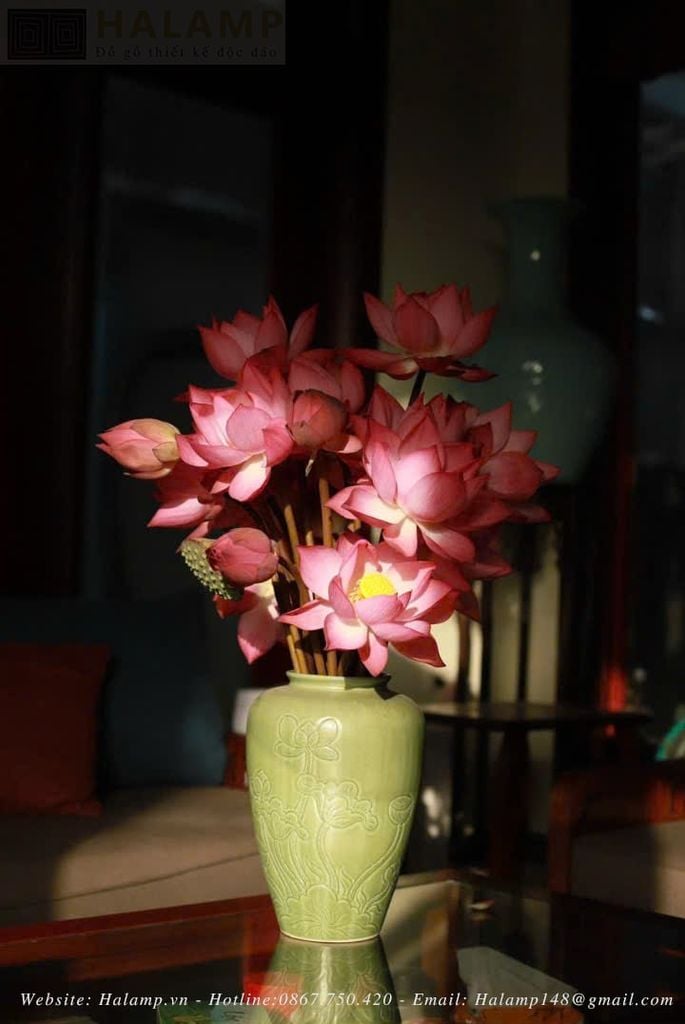 Hoa Sen loại hoa cắm quen thuộc trong nội thất Việt