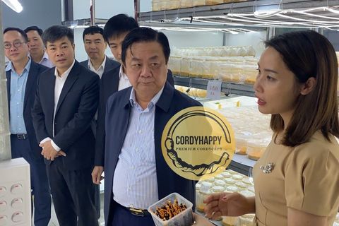 Bộ trưởng Lê Minh Hoan thăm cơ sở nghiên cứu và sản xuất CordyHappy