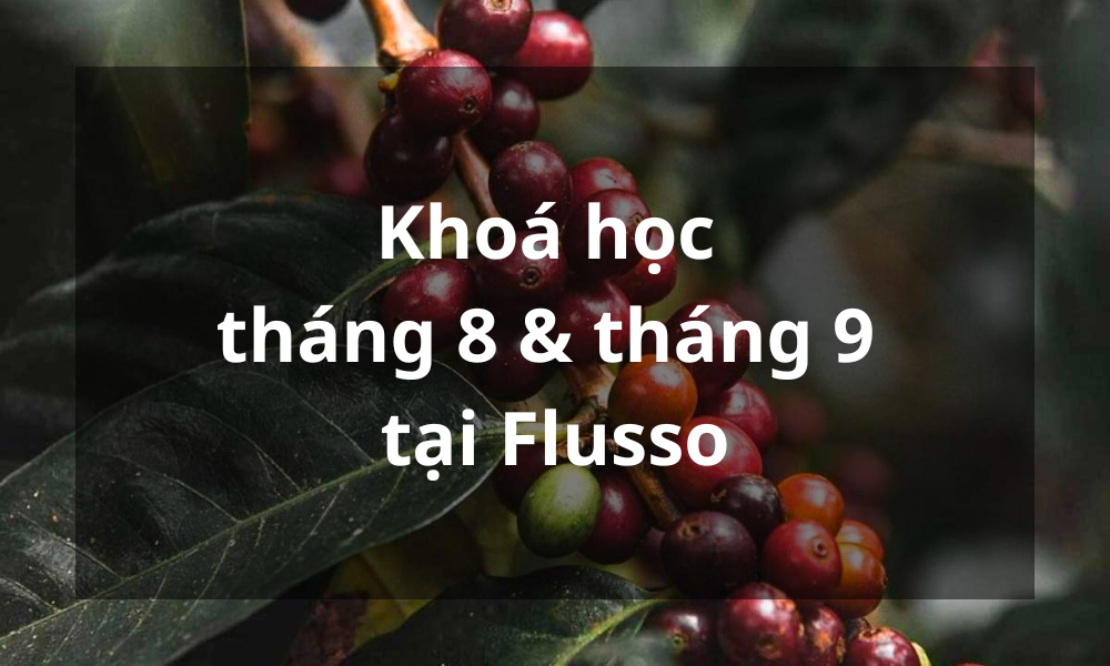 THÔNG BÁO LỊCH HỌC THÁNG 8 & 9 TẠI FLUSSO