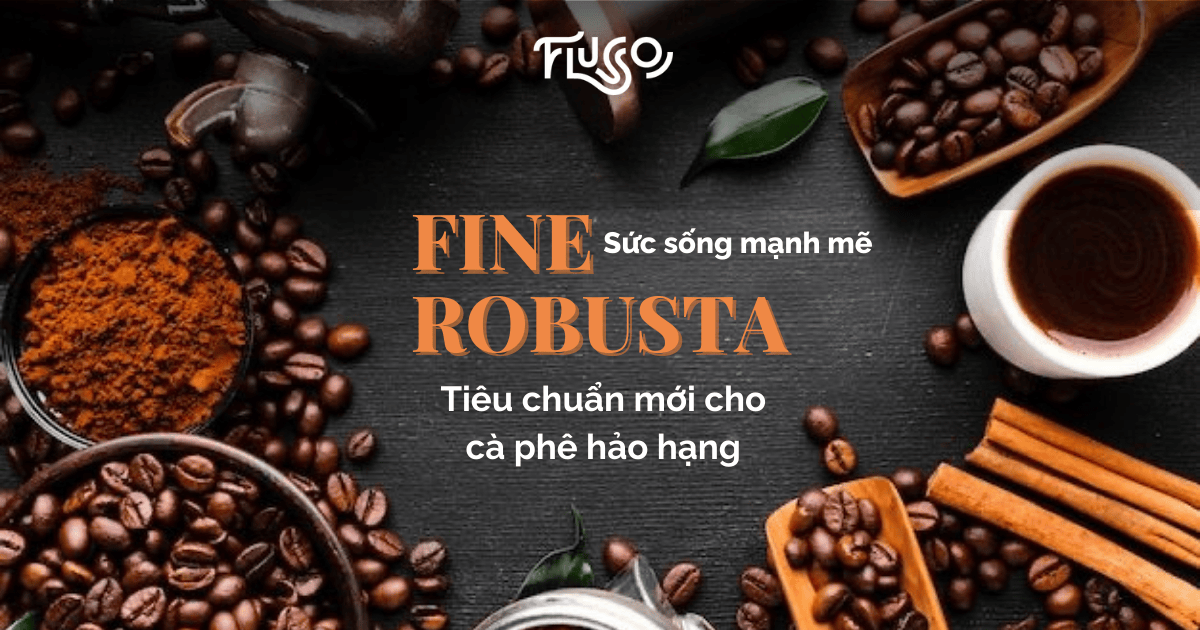 Fine Robusta - Từ Sức Sống Mạnh Mẽ Đến Tiêu Chuẩn Mới Cho Cà Phê Hảo Hạng