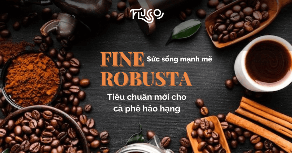 Fine Robusta - Từ Sức Sống Mạnh Mẽ Đến Tiêu Chuẩn Mới Cho Cà Phê Hảo Hạng