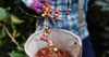 From Farm To Cup | Từ Nông Trại Đến Cốc Cà Phê