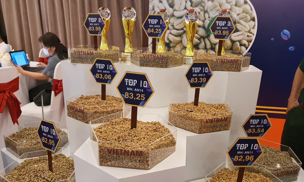 Vietnam Amazing Cup – Đấu Trường Cà Phê Đặc Sản Việt Nam & Hành Trình Chinh Phục Đỉnh Cao của Cà Phê Quảng Trị