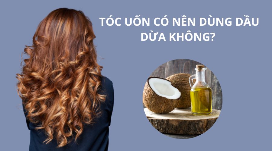 dau-dua-co-tac-dung-gi-cho-toc-4