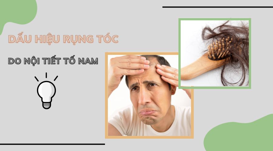 Tóc khô gãy rụng do rối loạn nội tiết  Nỗi ám ảnh của phụ nữ