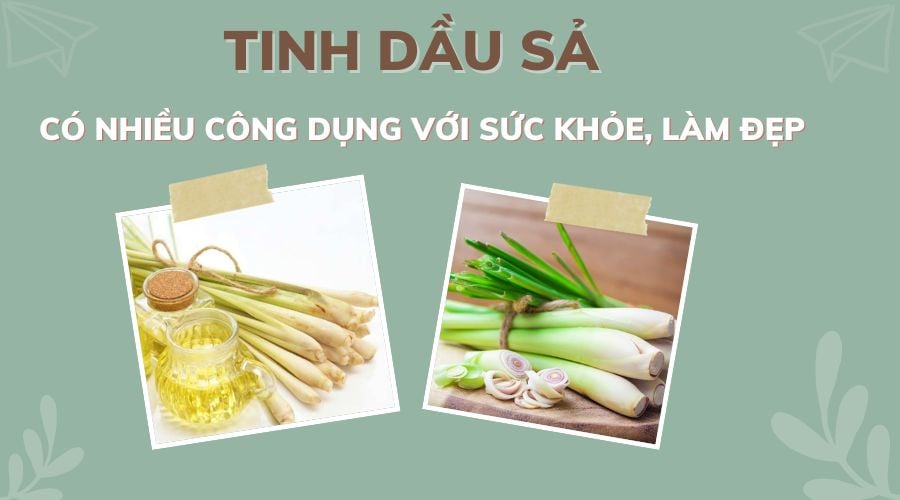 tinh-dau-chanh-sa-co-tac-dung-gi-1