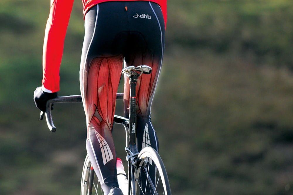 Khối lượng xương là gì? Cách tăng chỉ số khối lượng xương