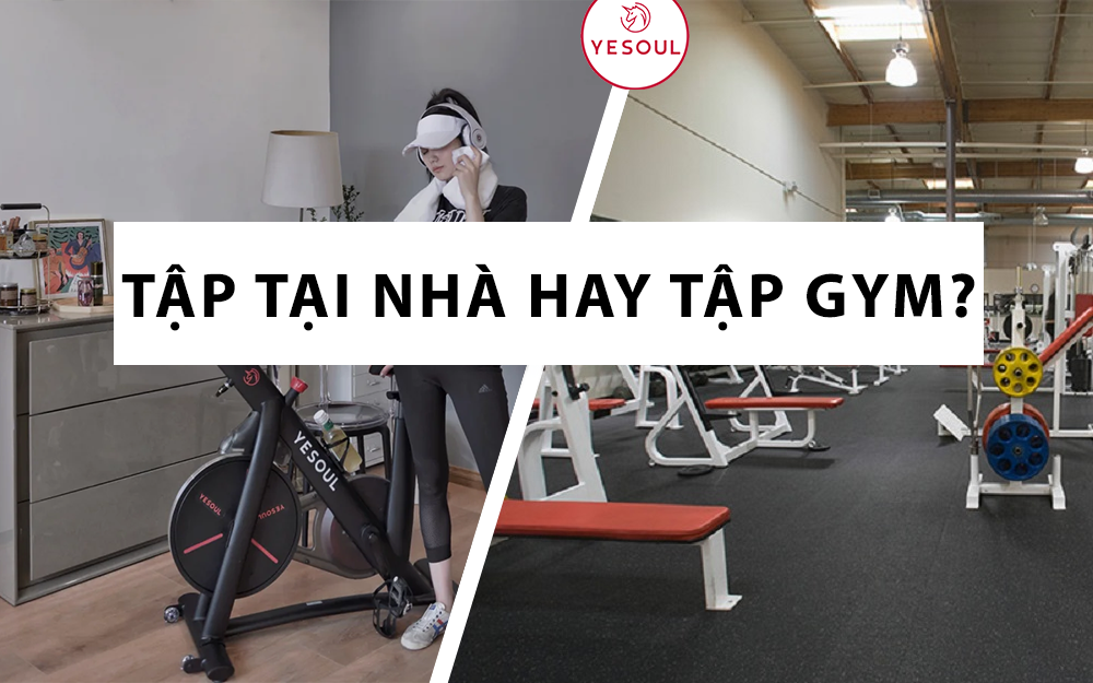 XU HƯỚNG TẬP TẠI NHÀ MỚI NỔI ĐƯỢC NGÀY CÀNG NHIỀU NGƯỜI TIN TƯỞNG